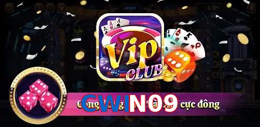 CWIN09