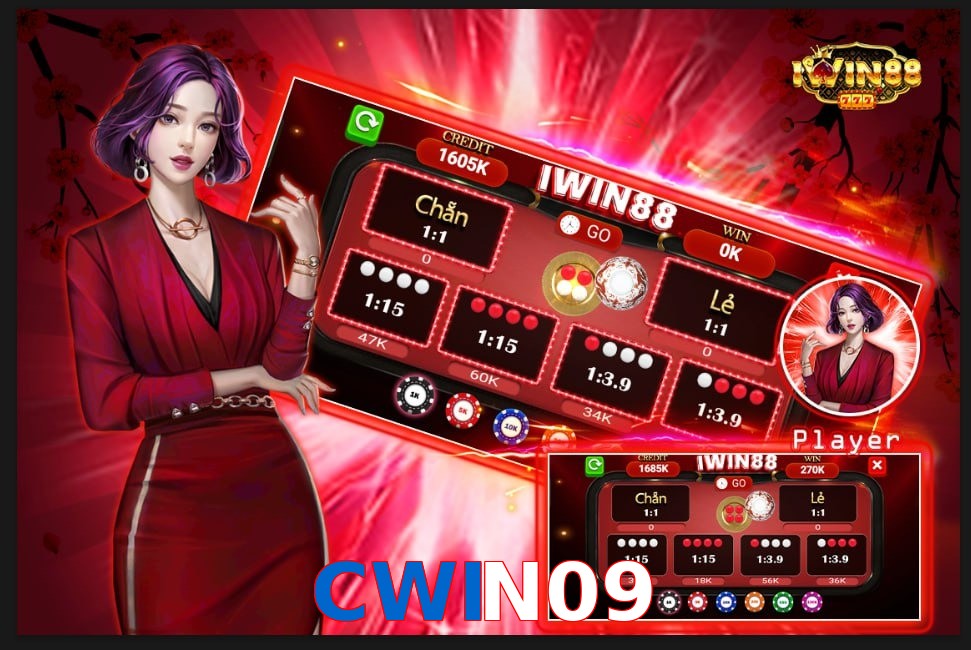 CWIN09