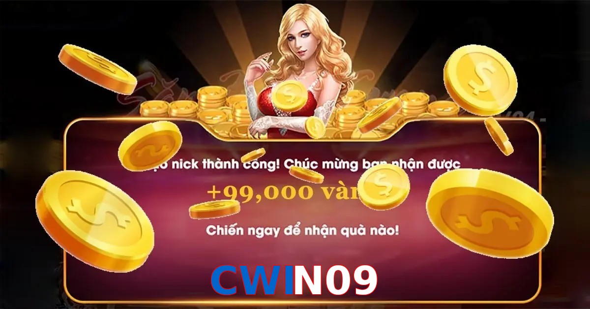 CWIN09